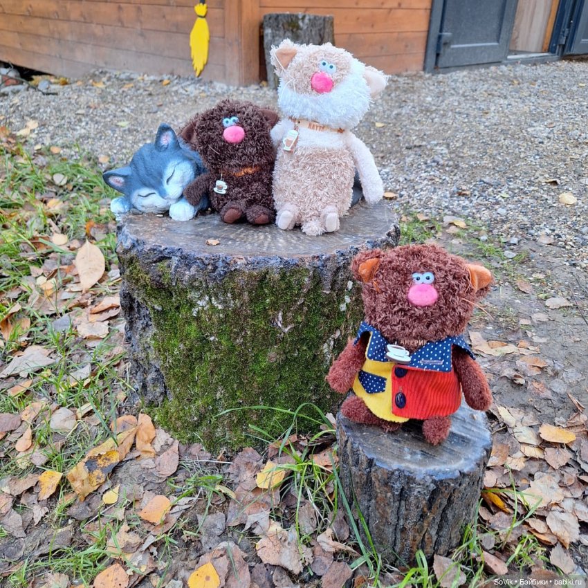 Без кота и прогулка не та