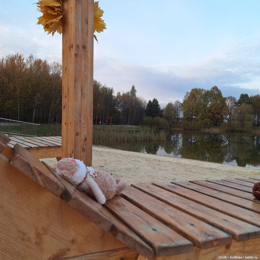 Без кота и прогулка не та