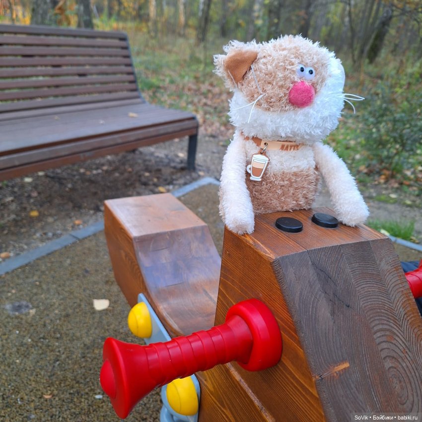 Без кота и прогулка не та