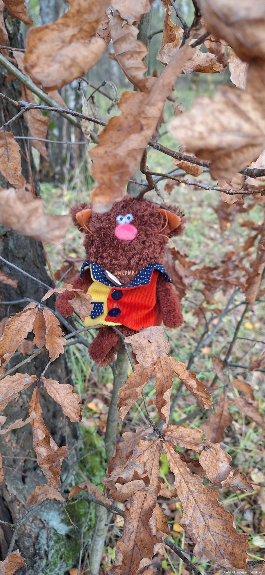 Без кота и прогулка не та