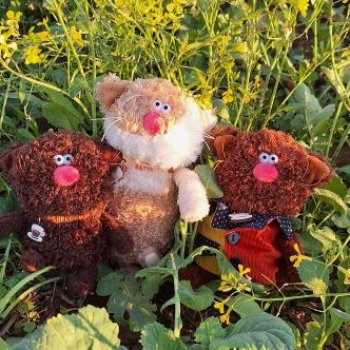 Без кота и прогулка не та