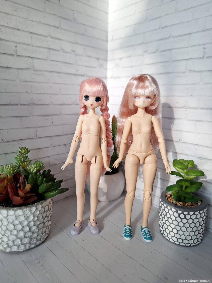 Гибрид Momotale на теле YMY (фото 5)