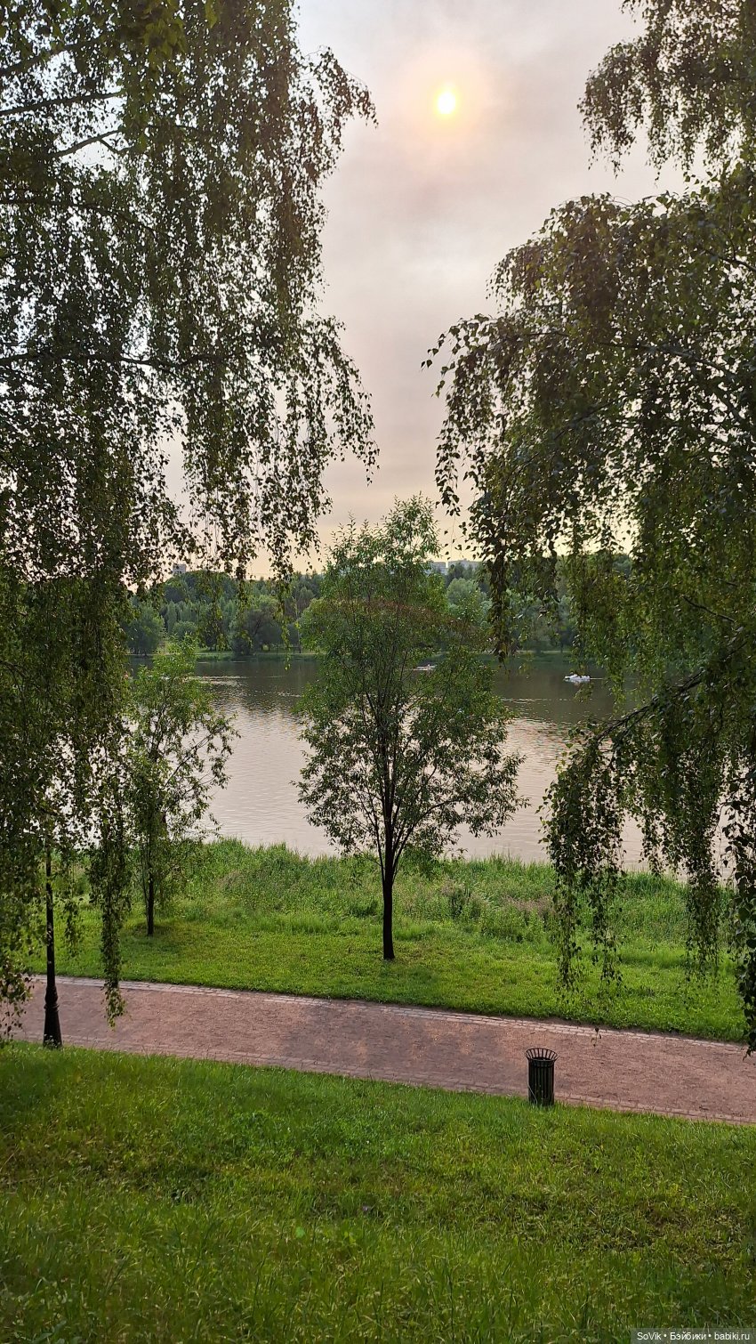 Зефирные волосы и лавандовые глаза