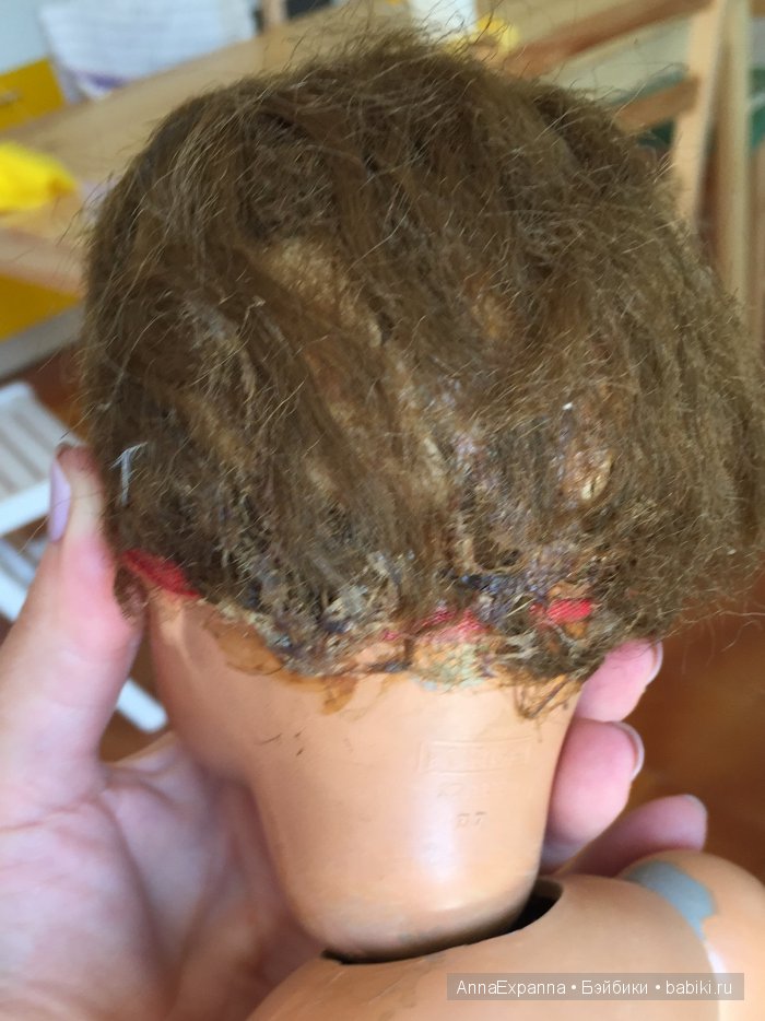 Кого же я купила (1)? И как помочь этой девочке (фото 3)