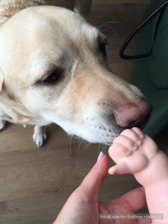 Личный островок в Бейбиковском море (фото 5)