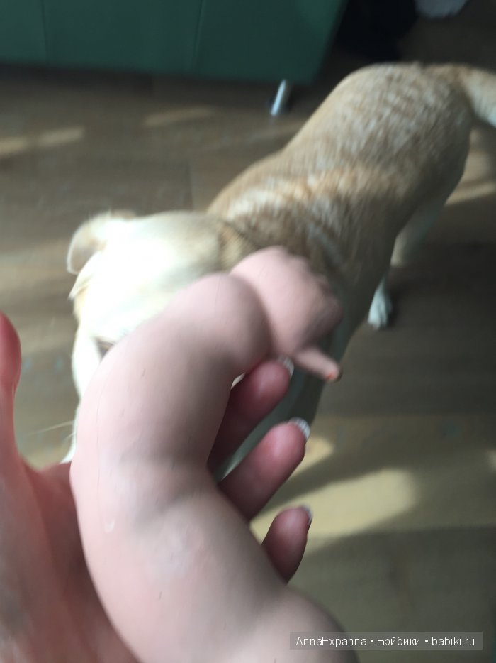 Личный островок в Бейбиковском море (фото 4)