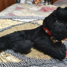 Черный плюшевый винтажный пудель. Только лежит