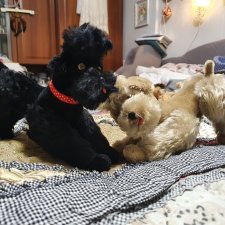 Винтажные бежевый и черный артикуляционные пудели для антикварной куколки