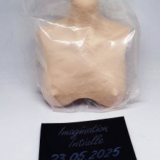 Dollshe Diana (бюст с шеей)