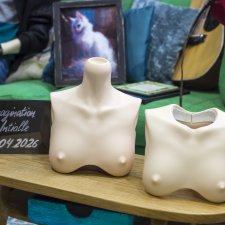 Dollshe Diana (бюст с шеей и без шеи)