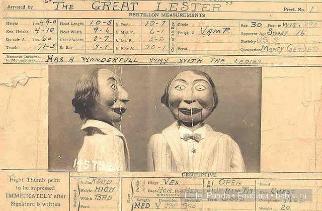 Чревовещатели