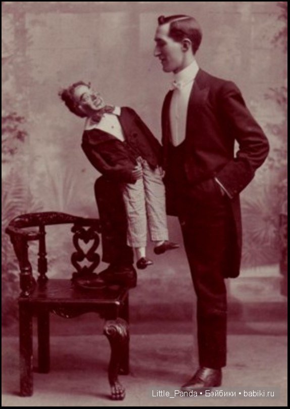 Чревовещатели