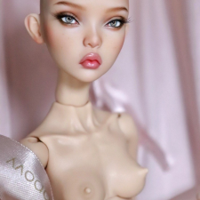 Little owl (Popovy sisters)