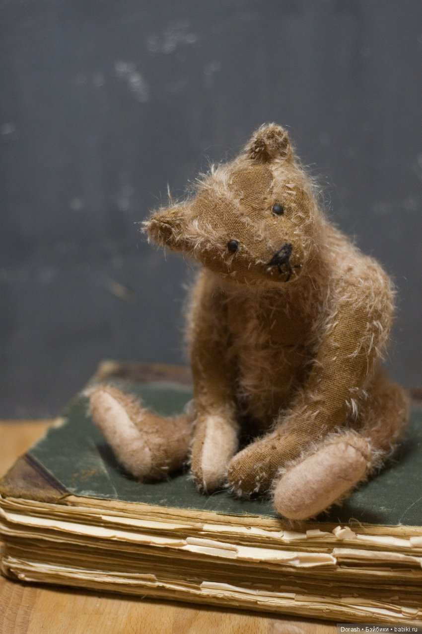 Новые "старые" звери — Авторские мишки Тедди и друзья: фото