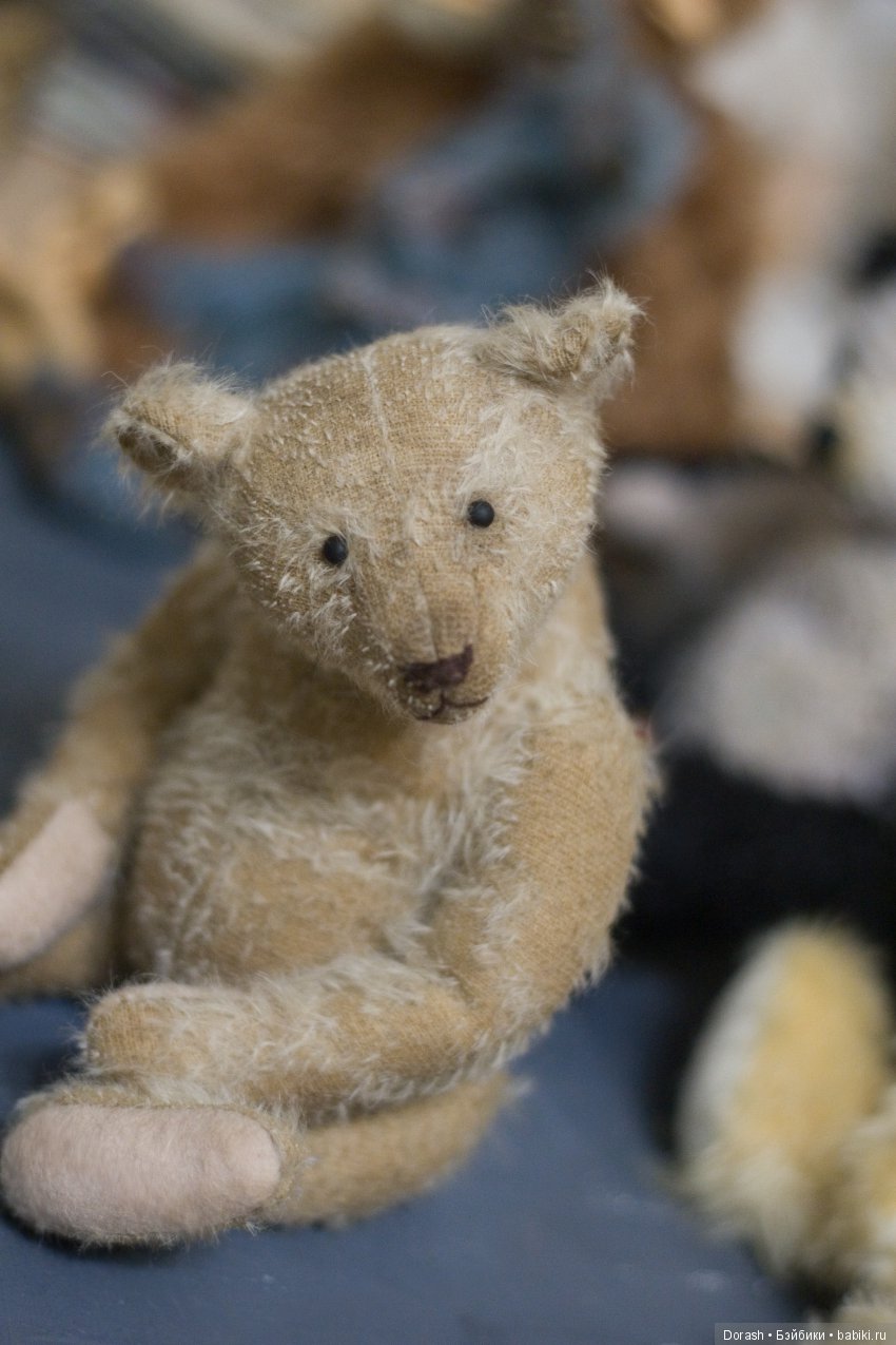 Новые "старые" звери — Авторские мишки Тедди и друзья: фото (фото 3)