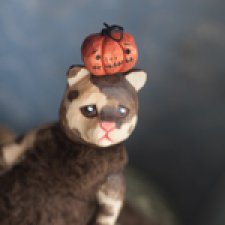 Котик,мягенький животик