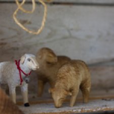 Овечки