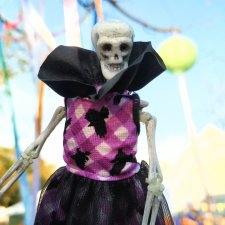 Фестиваль Индии