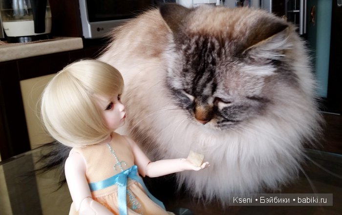 Как Нани ходила на почту за посылкой (фото 9)