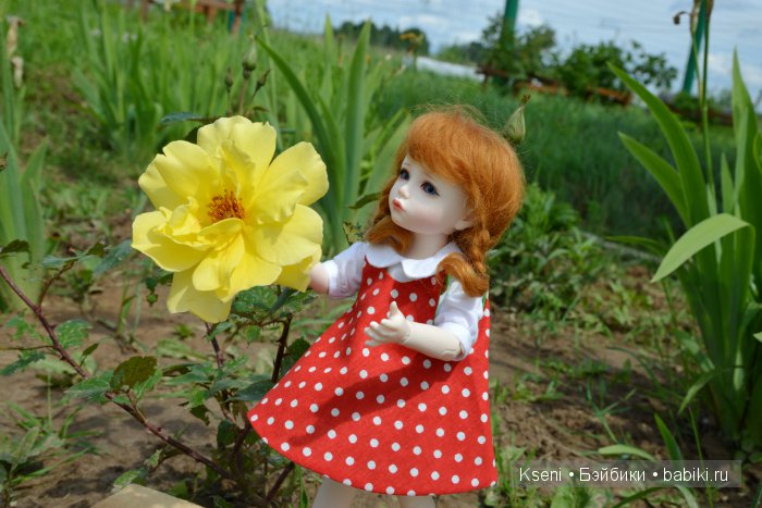 Жизнь Нани на даче или шалости продолжаются (фото 7)