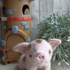 Поросенок Чуня