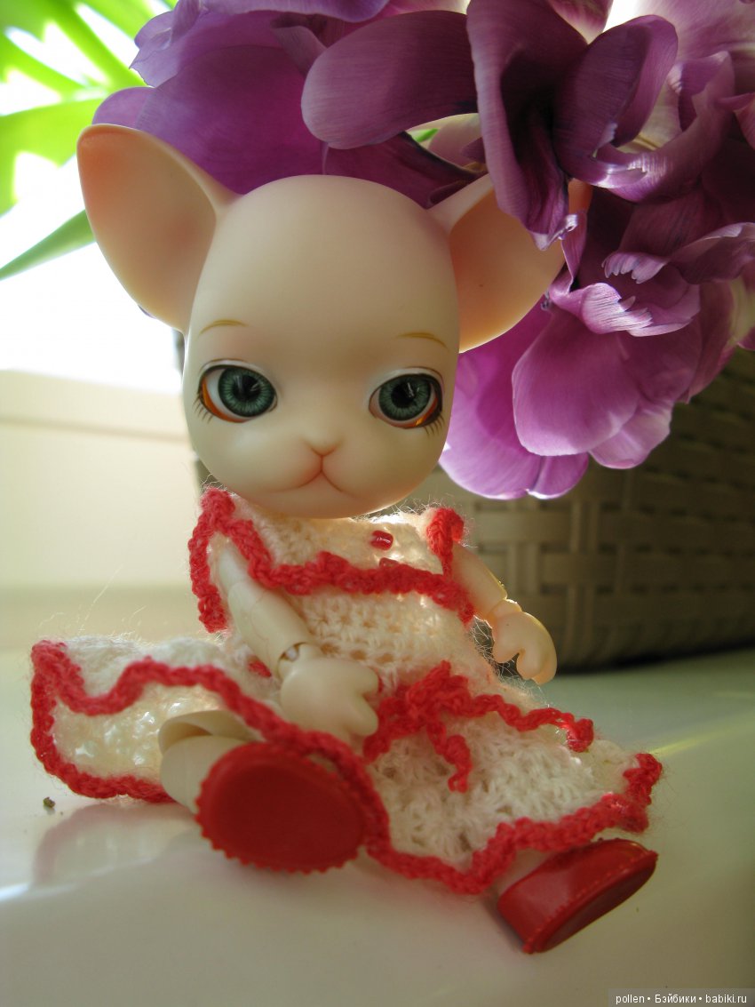 подходит Pang-Ju Панг-Джу  Источник: https://dollsempire.ru/pang_ju_darjeeling.html