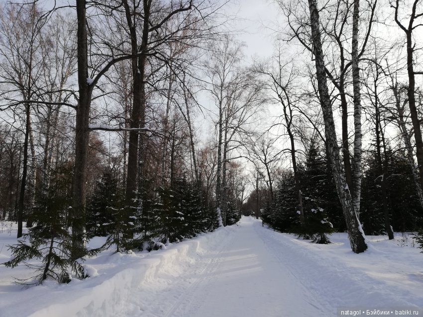 Зимняя прогулка с красоткой Мари