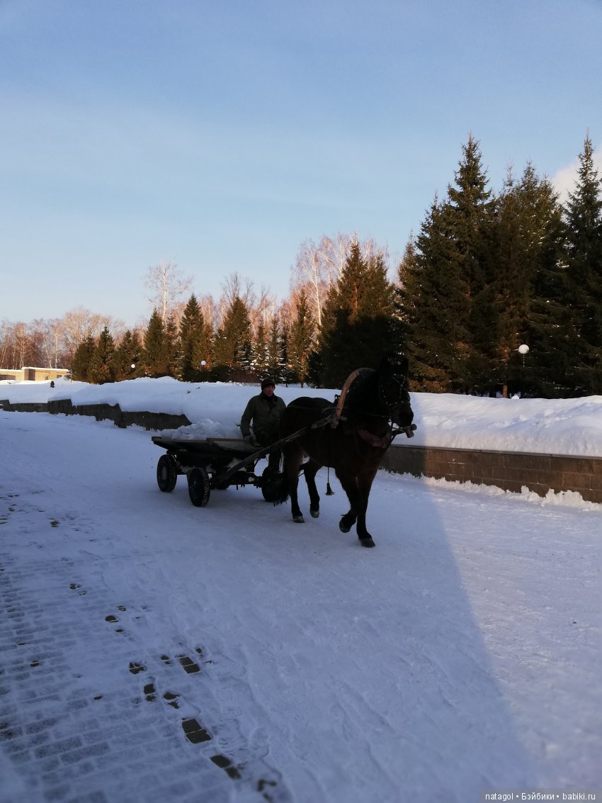 Зимняя прогулка с красоткой Мари (фото 9)