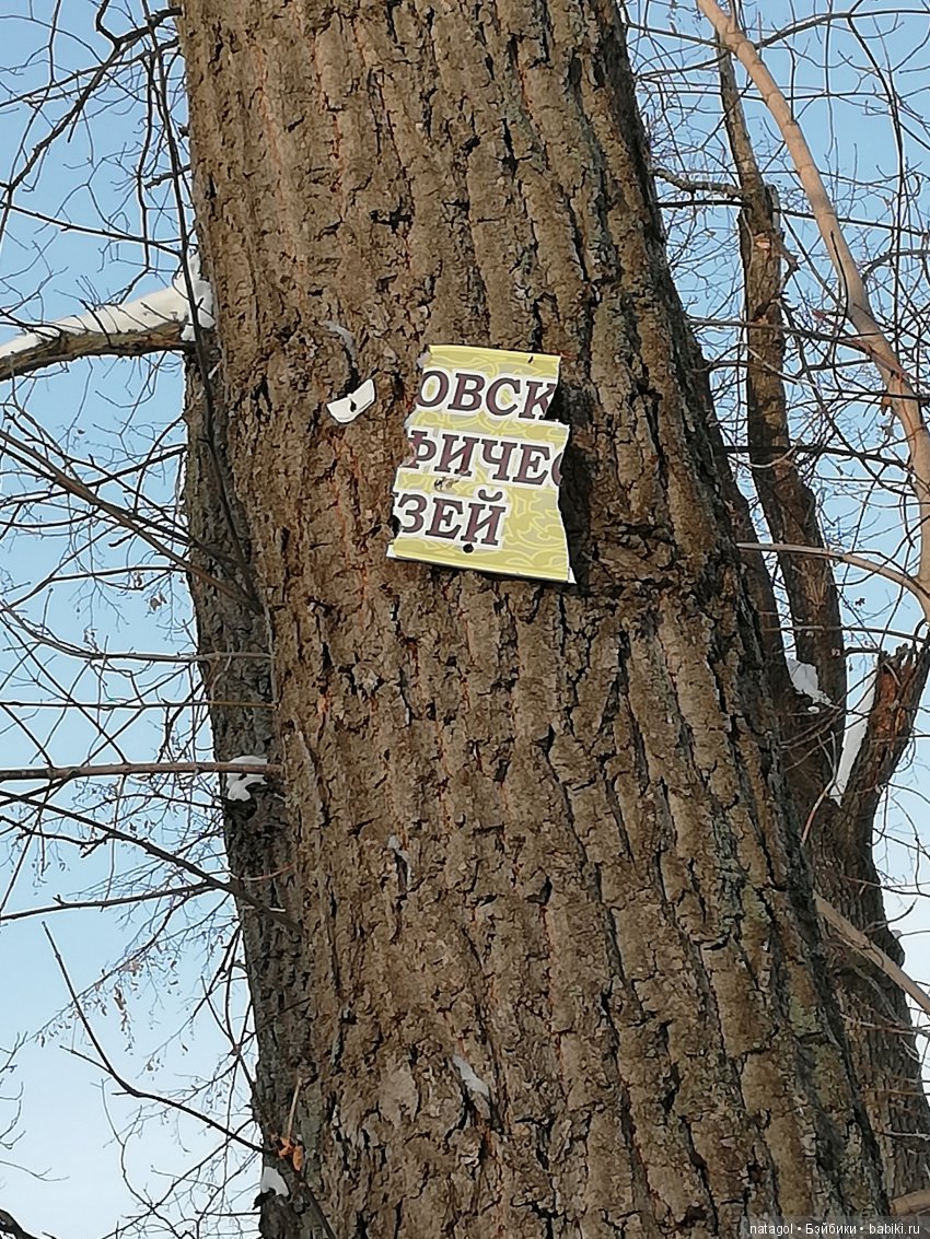 Зимняя прогулка с красоткой Мари