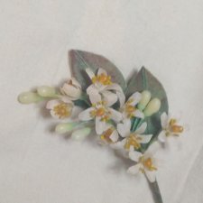 Букетик флердоранжа  с восковыми цветочками.