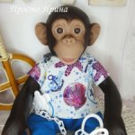 Одежда для обезьяны от Destoys