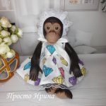 Платье и чепчик для обезьяны Destoys - 2
