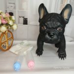 Собака от Destoys