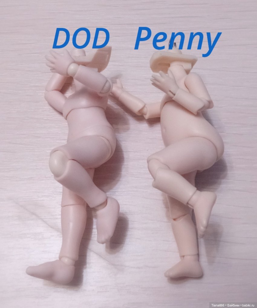 Обзор Пенни от Penny's Box Antu + попытки гибридизации