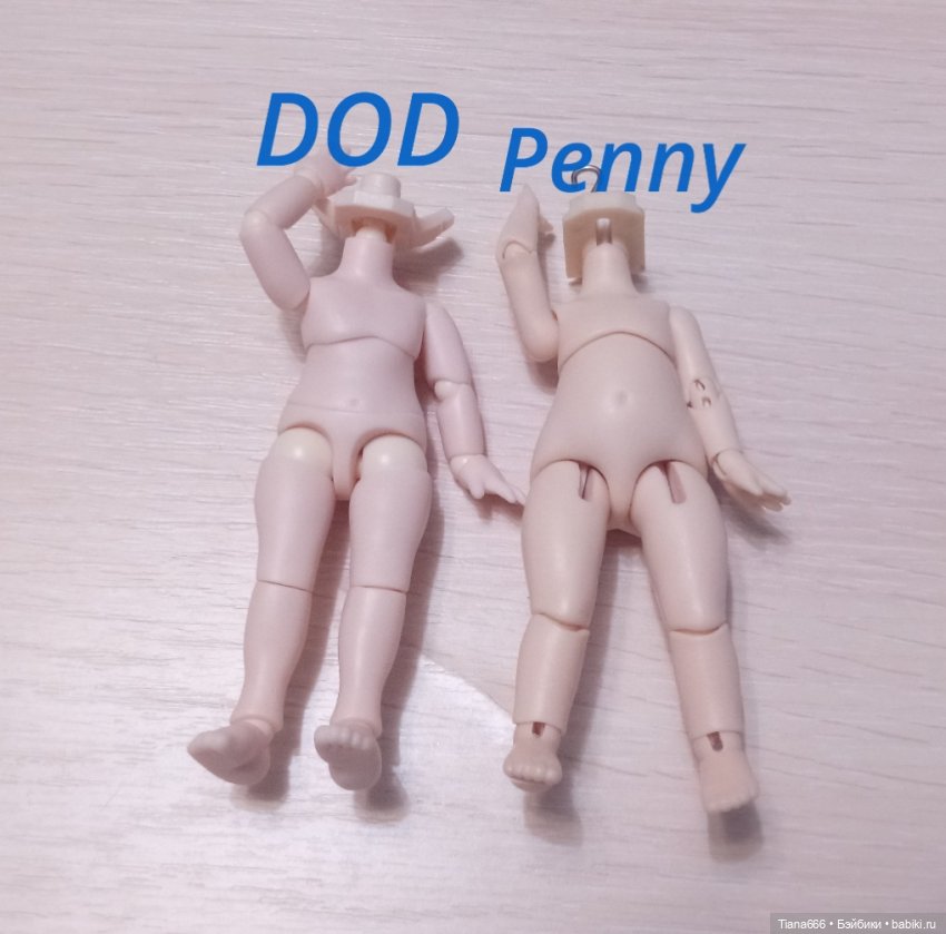 Обзор Пенни от Penny's Box Antu + попытки гибридизации