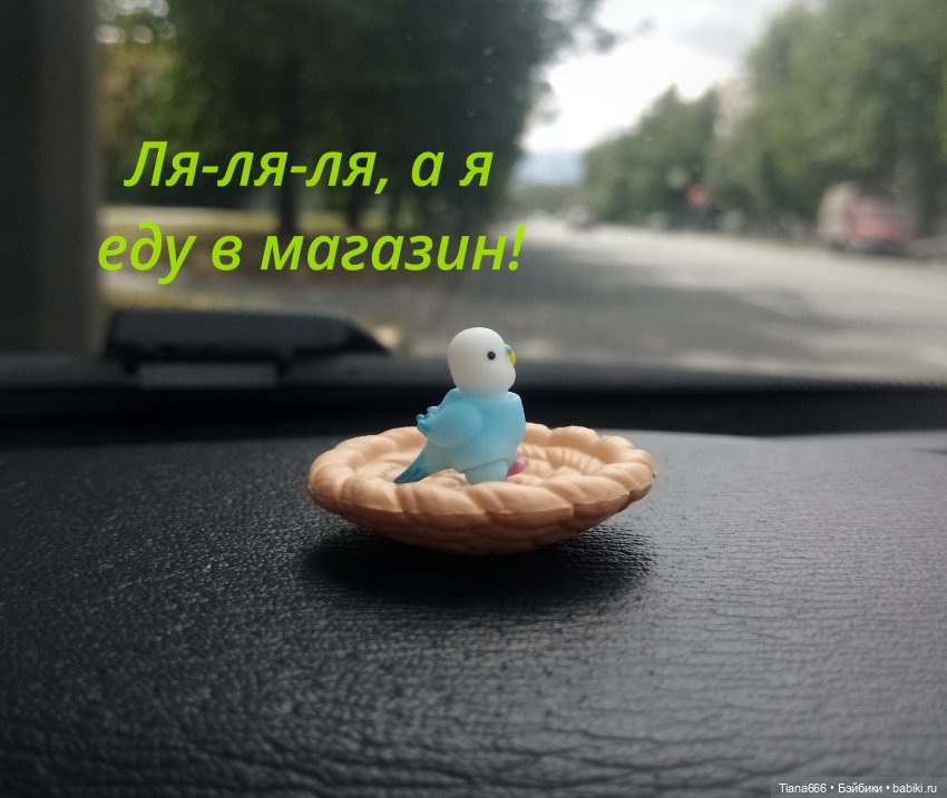 Веселая история: попугайчик и поход в магазин