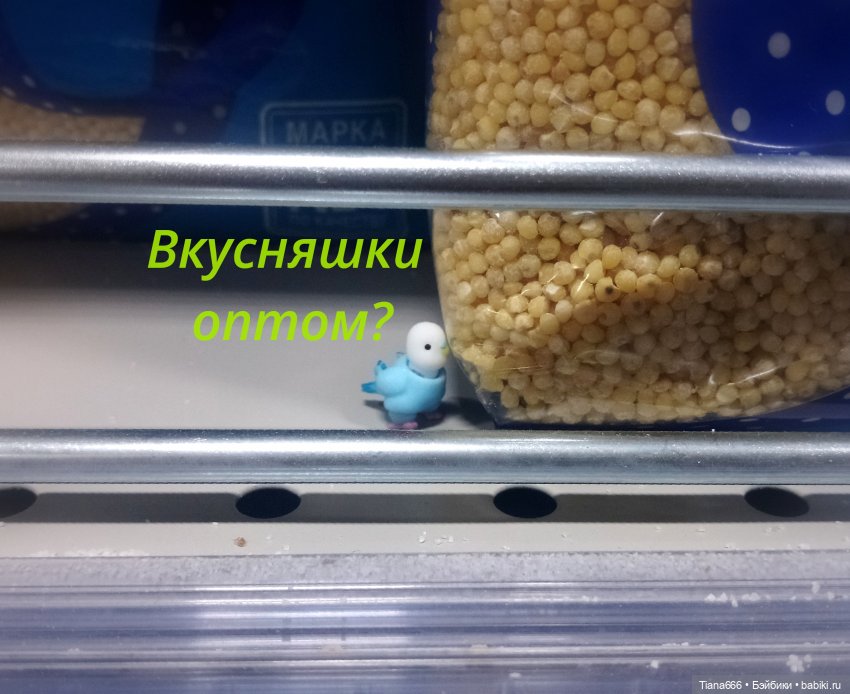 Веселая история: попугайчик и поход в магазин (фото 3)