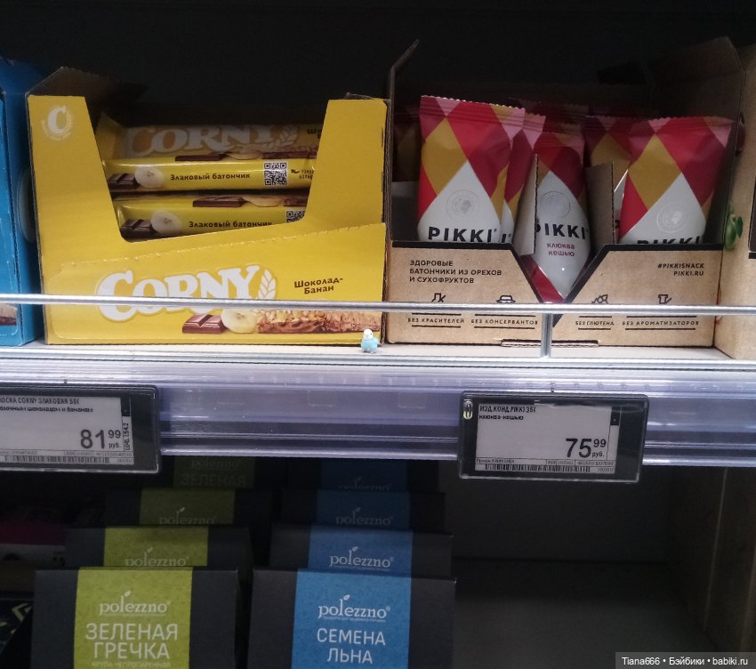 Веселая история: попугайчик и поход в магазин (фото 6)