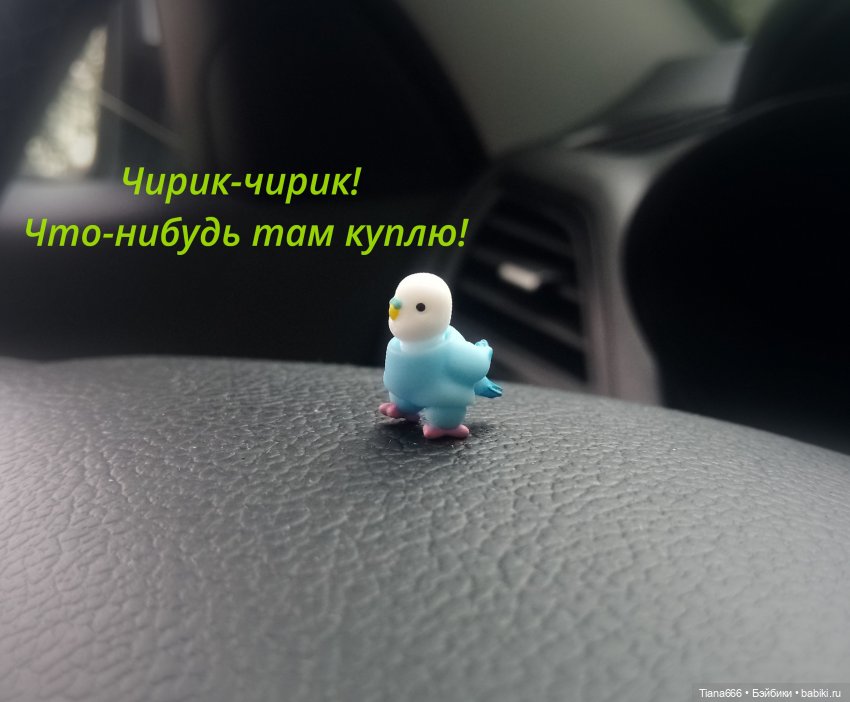 Веселая история: попугайчик и поход в магазин (фото 2)