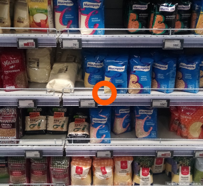 Веселая история: попугайчик и поход в магазин (фото 4)