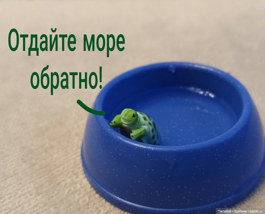 Большие мечты маленькой черепашки