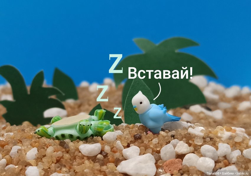 Большие мечты маленькой черепашки