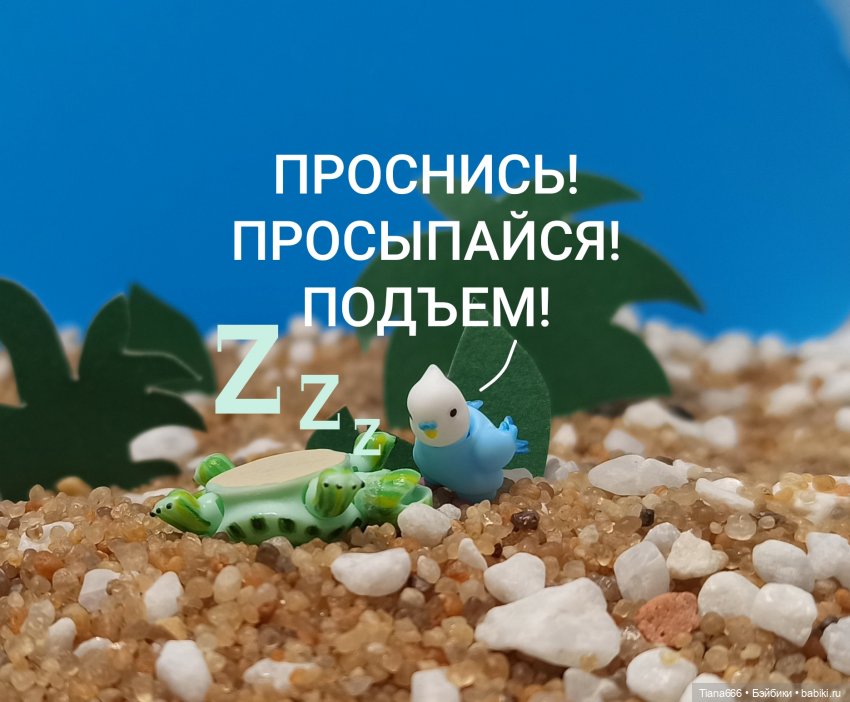 Большие мечты маленькой черепашки (фото 2)