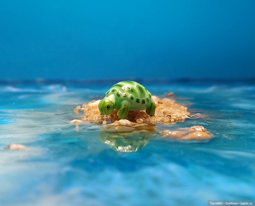 Большие мечты маленькой черепашки (фото 8)