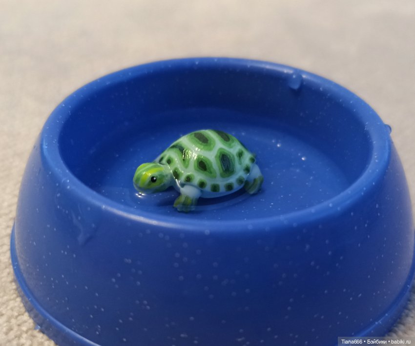 Большие мечты маленькой черепашки (фото 10)