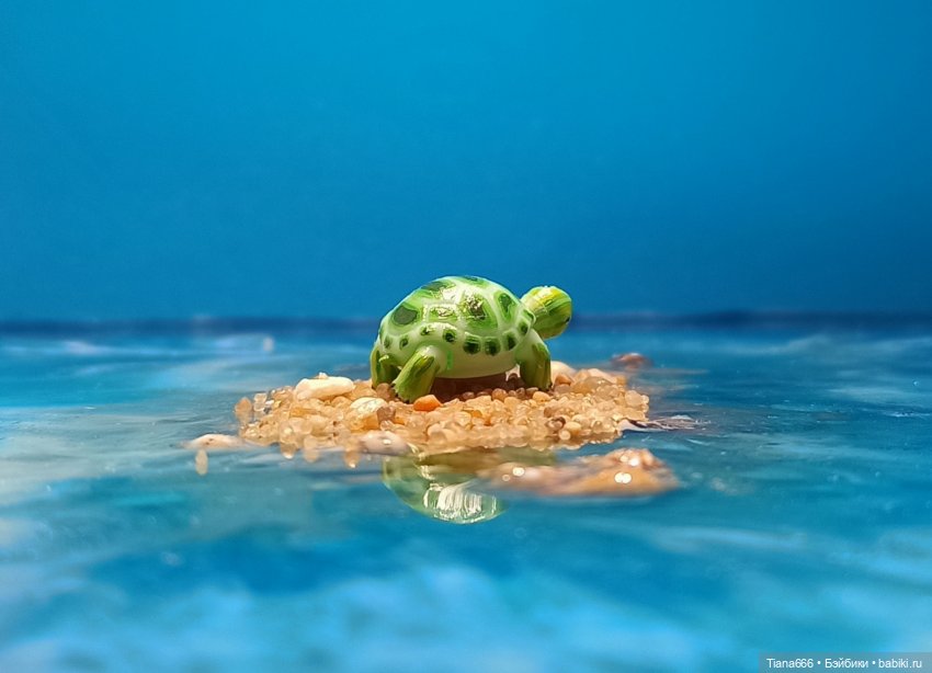 Большие мечты маленькой черепашки (фото 7)
