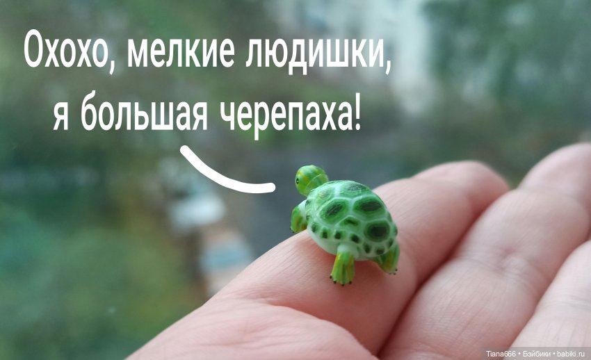 Большие мечты маленькой черепашки