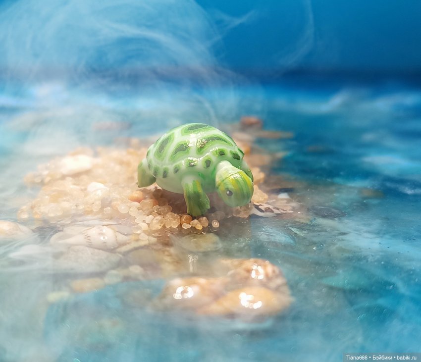 Большие мечты маленькой черепашки (фото 9)