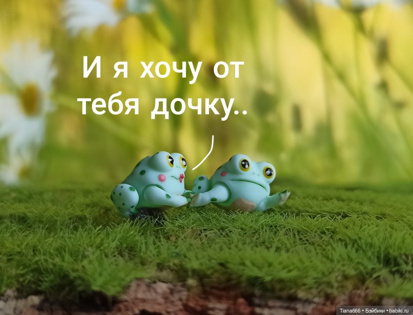 Жабье счастье — Фотоистории с куклами BJD (БЖД): сериалы (фото 4)