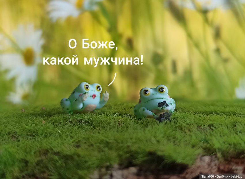 Жабье счастье — Фотоистории с куклами BJD (БЖД): сериалы (фото 2)